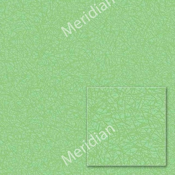 543221 Paint Color