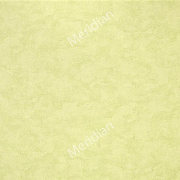 Флизелиновые обои Статус 923-28