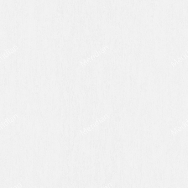 Флизелиновые обои Статус 9092-10