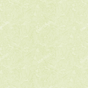 81127