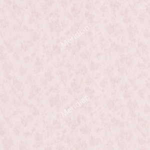 9056