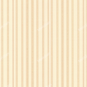 81123
