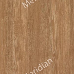 Дуб Шефілд