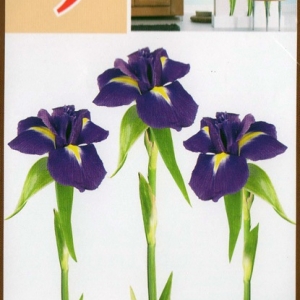 Декоративна наліпка ArtDecor №9 Ирисы